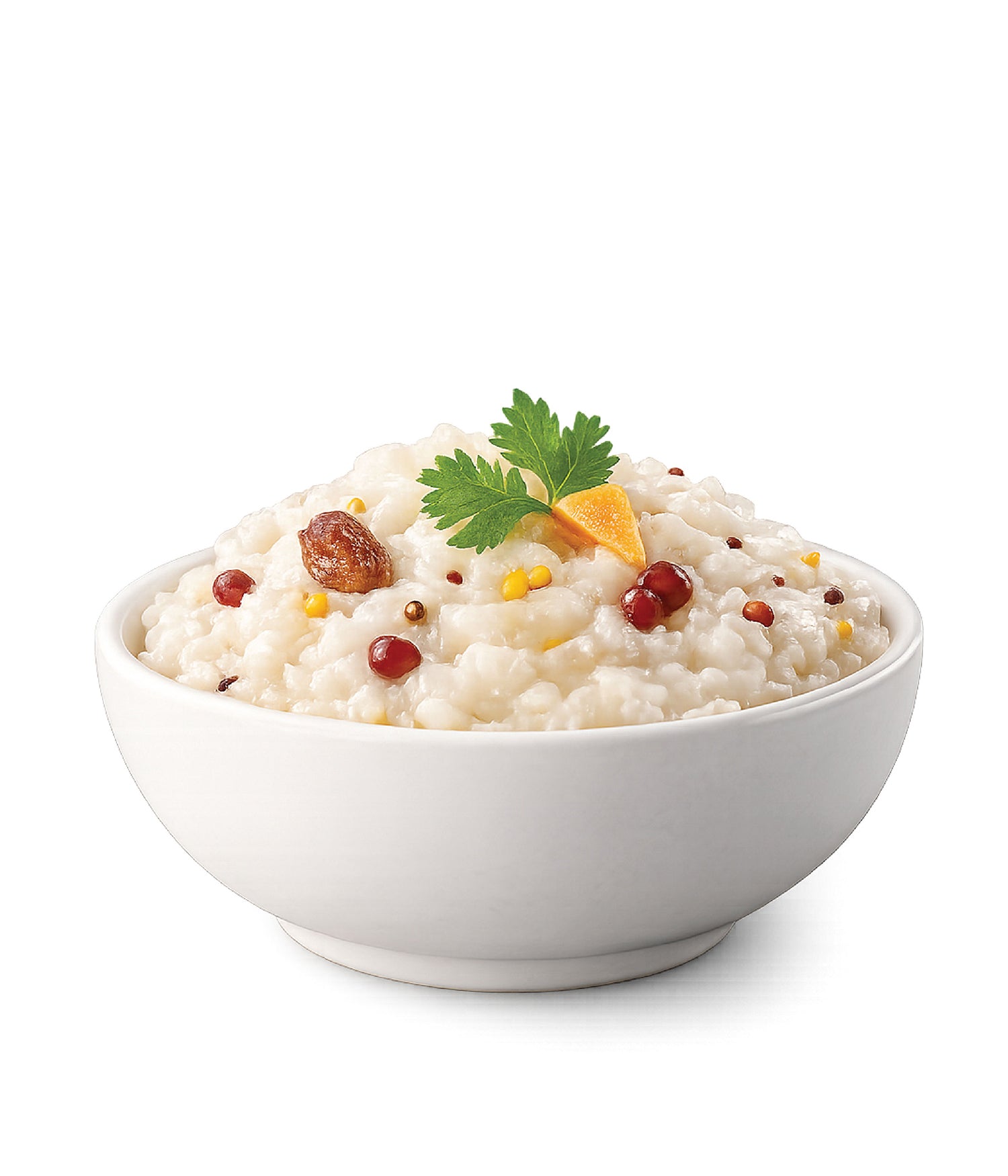 Freeze Dried Curd Rice 