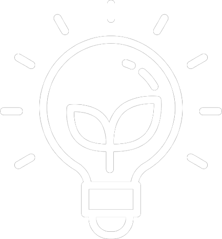 Innovation & Convenience